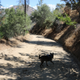 Illustration for article titled Toby Hike Day: Wellbarn Road to San Joaquin River Trail